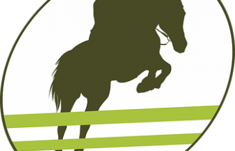 手 は Hand だけではない 手 を表す英語 いろいろ 篝火の郷